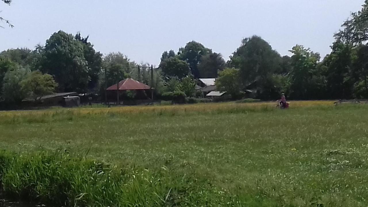 Studio Zonnehoek Schoorl Buitenkant foto